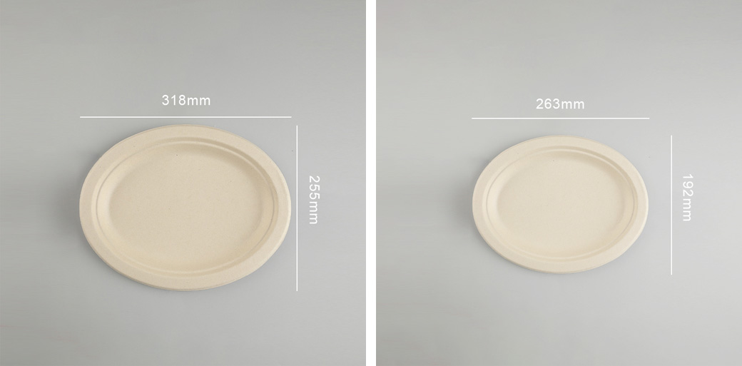 Sugarcane Bagasse Oval Plate