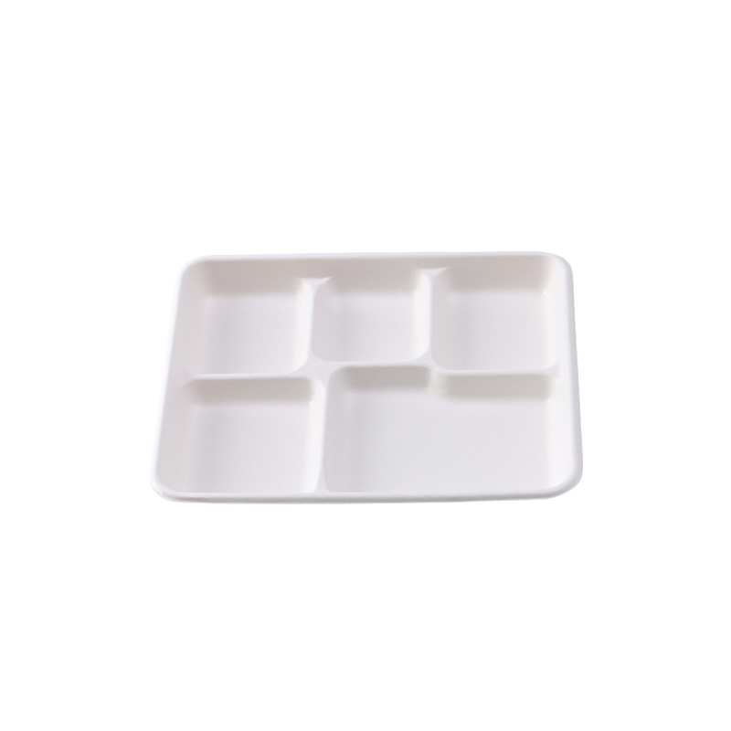 Sugarcane 5 Compartments Tray