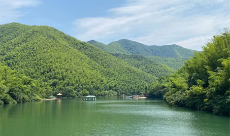 Uma fuga panorâmica para a floresta de bambu Yixing